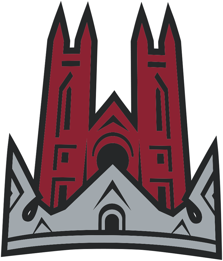 Guelph Storm 2007-2018 Alternate Logo iron on transfers for T-shirts